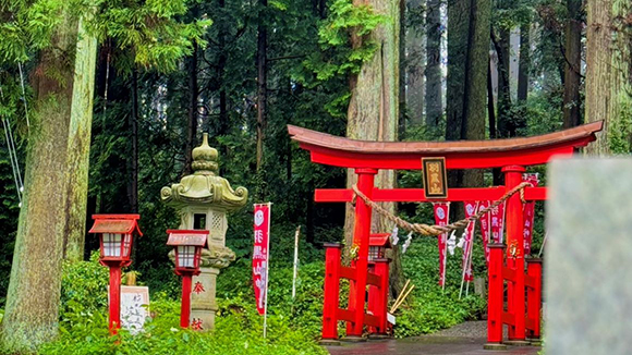 夏の画像1