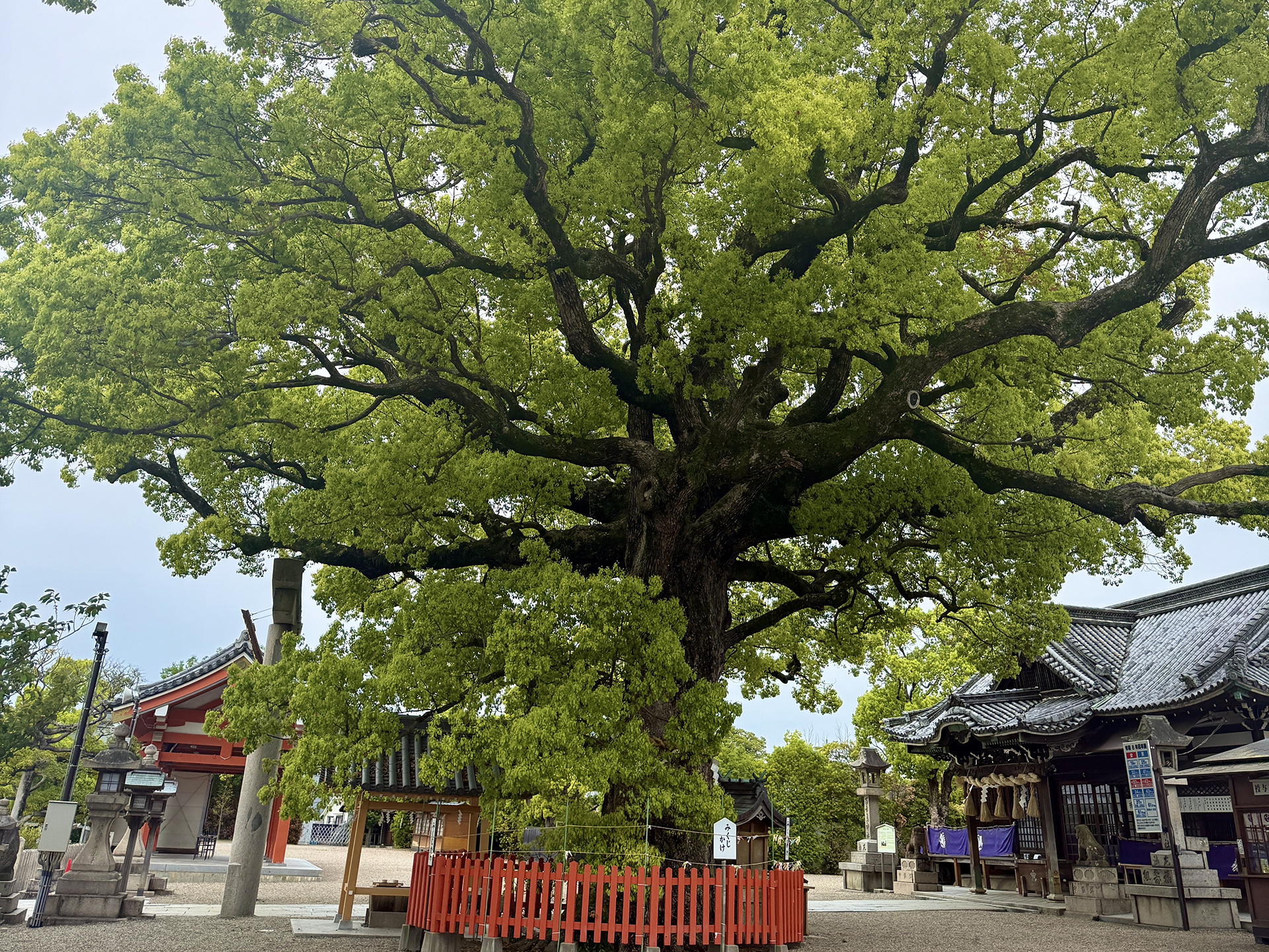 百舌鳥八幡宮