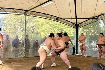 春の画像2