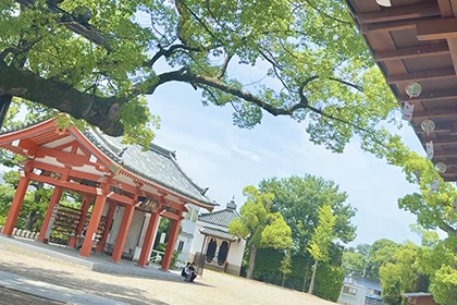 夏の画像2