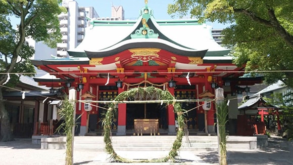 夏の画像1