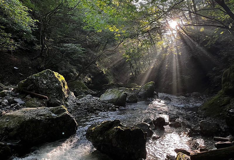 劔山本宮劔神社