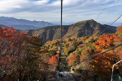 秋の画像2