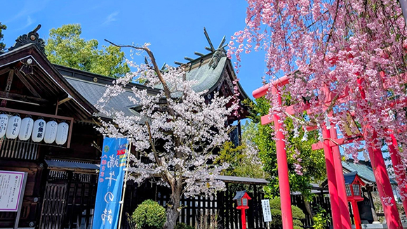 春の画像1