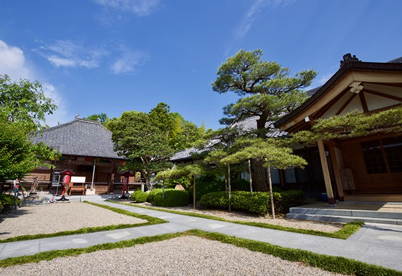 歓喜山　善福寺