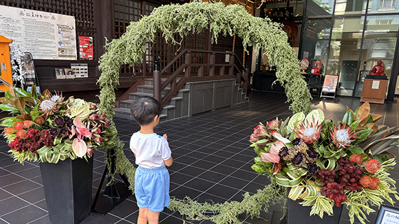 夏の画像1