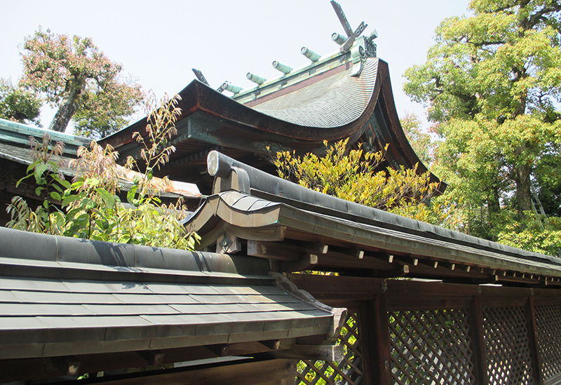 わら天神宮（敷地神社）