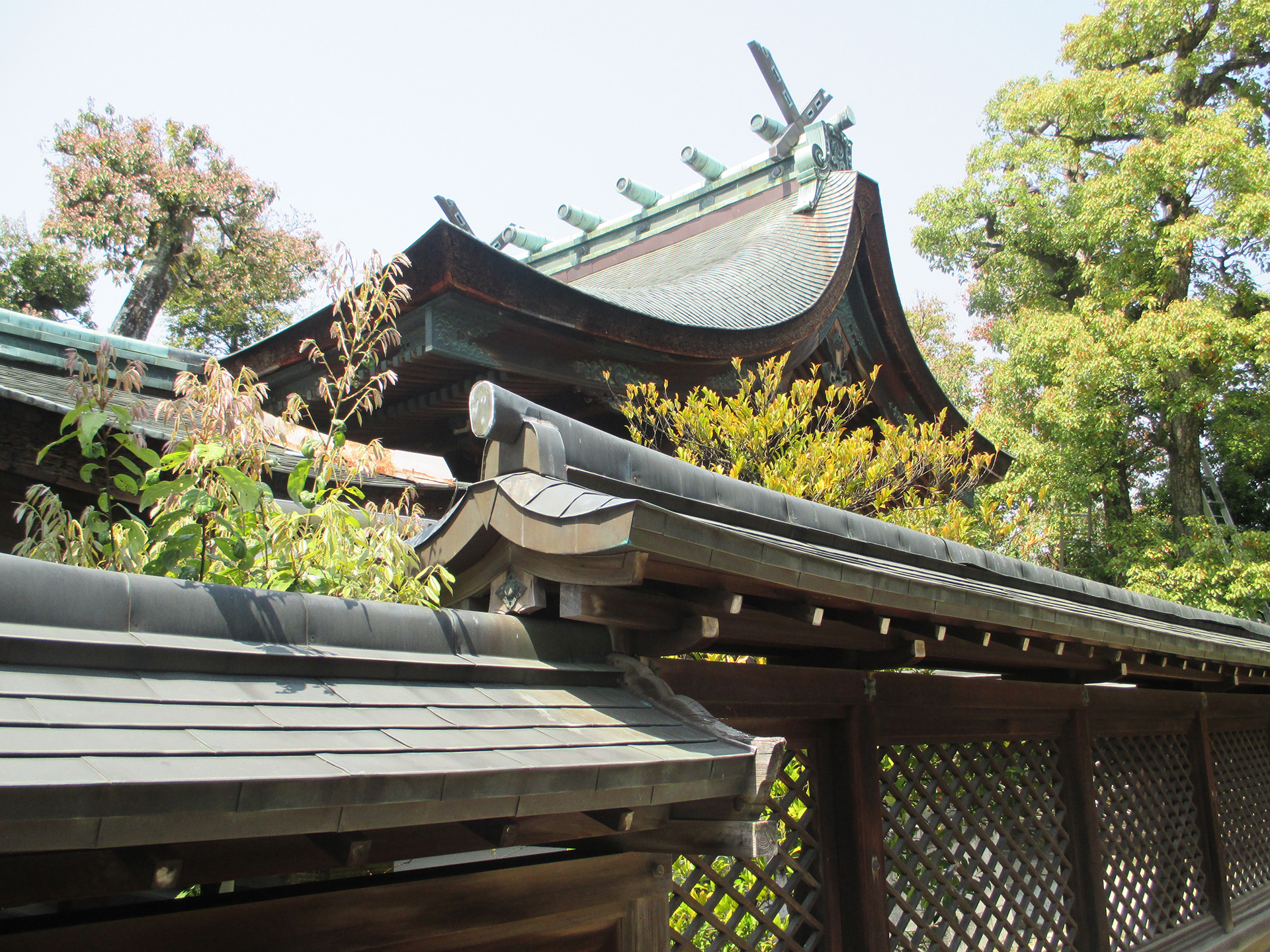 わら天神宮（敷地神社）
