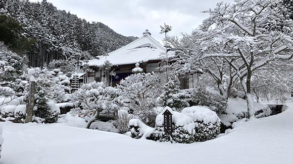 冬の画像1