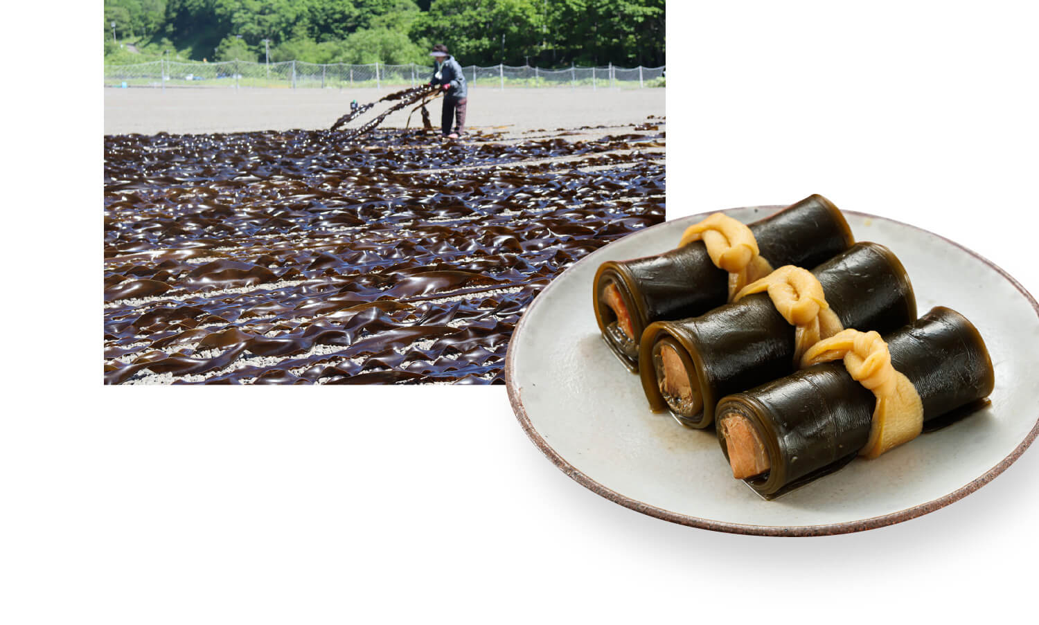 北海道 昆布森產 昆布1長片