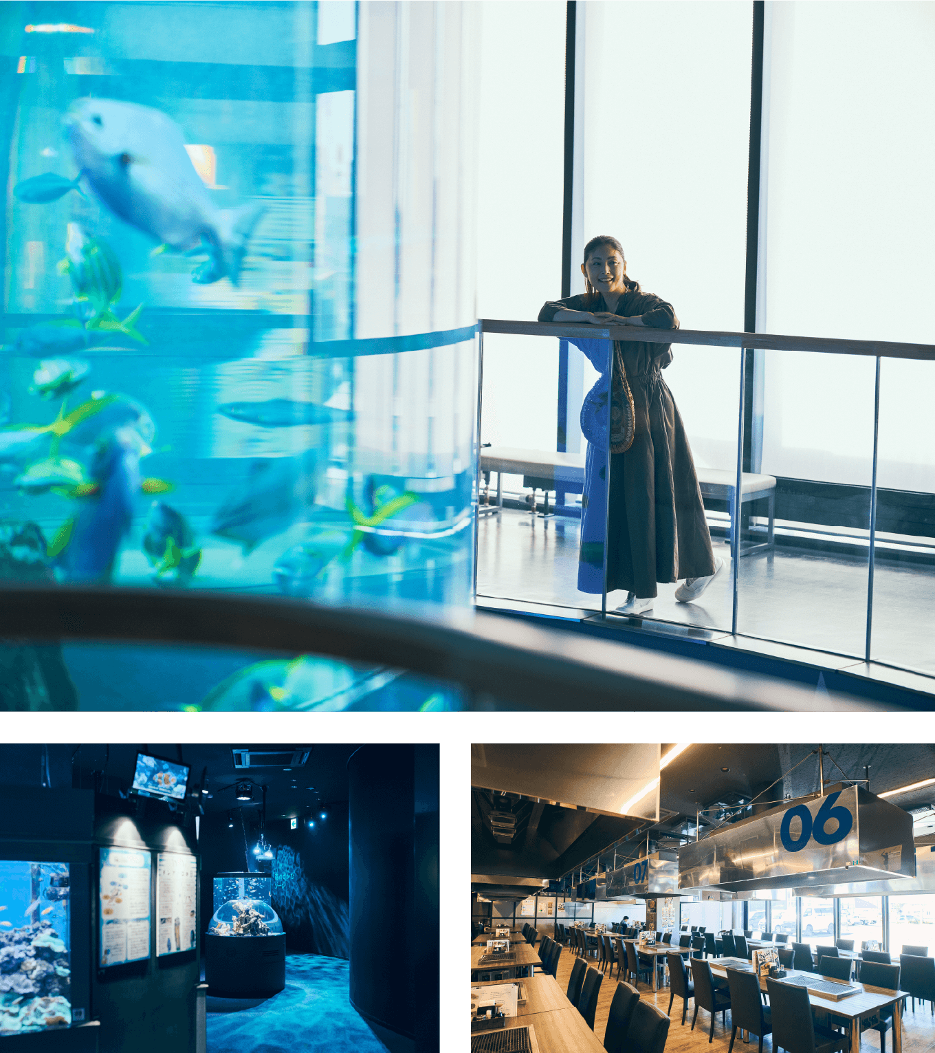 釧路水族館PukuPuku