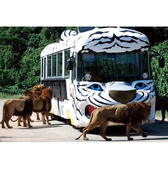秋吉台自然動物園 Safari Land