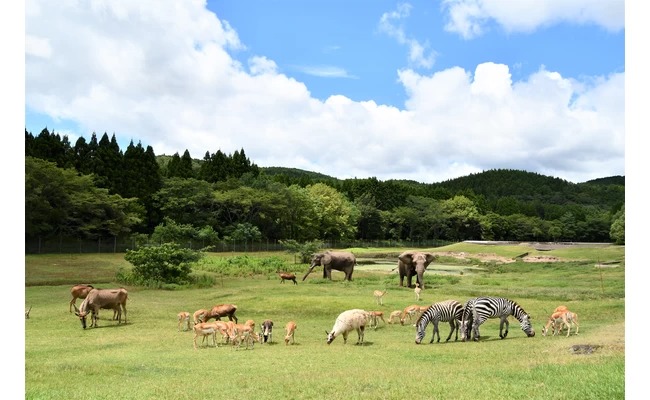 野生動物園區